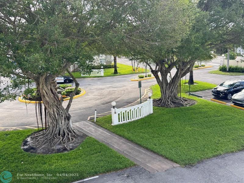 4331 NW 16th St 308D, #308D, Fort Lauderdale, FL 33313