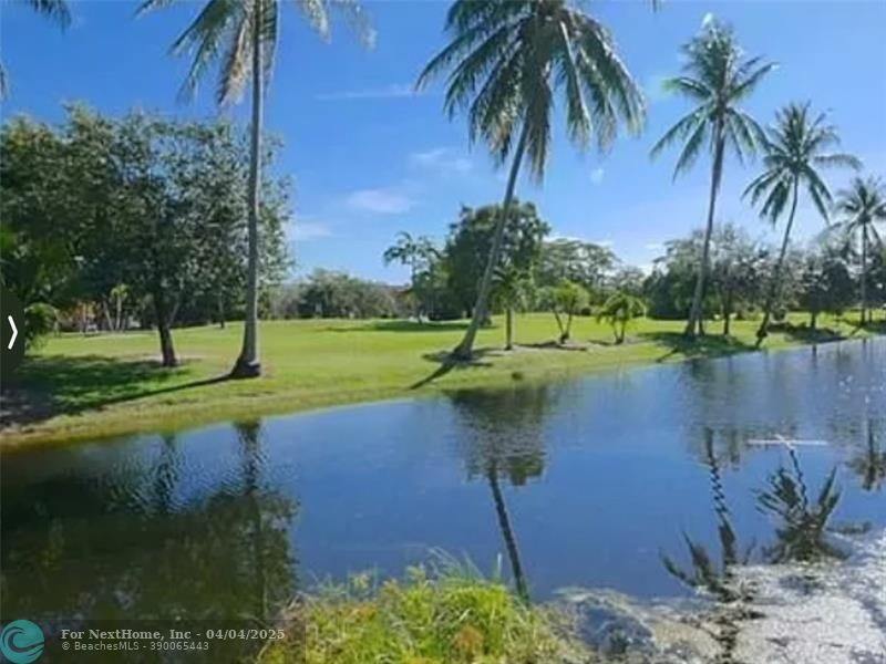 4331 NW 16th St 308D, #308D, Fort Lauderdale, FL 33313