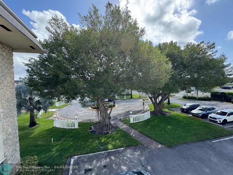 4331 NW 16th St 308D, #308D, Fort Lauderdale, FL 33313