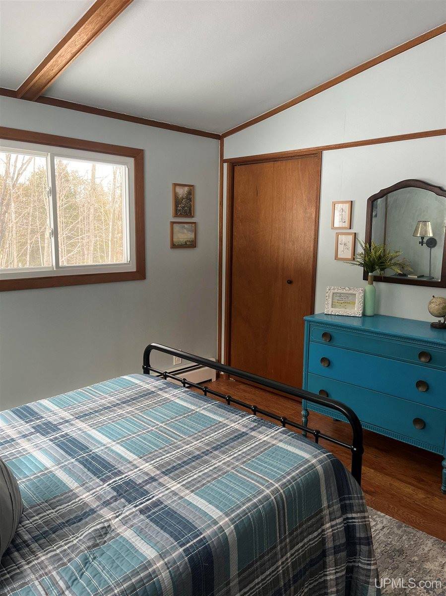 1904 E Kolpack Road, Skandia, MI 49855