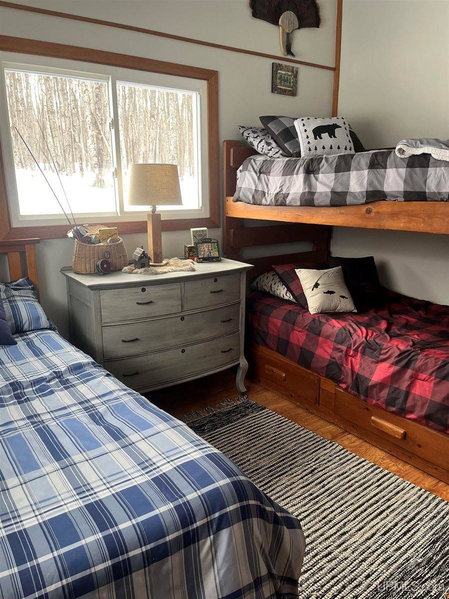 1904 E Kolpack Road, Skandia, MI 49855