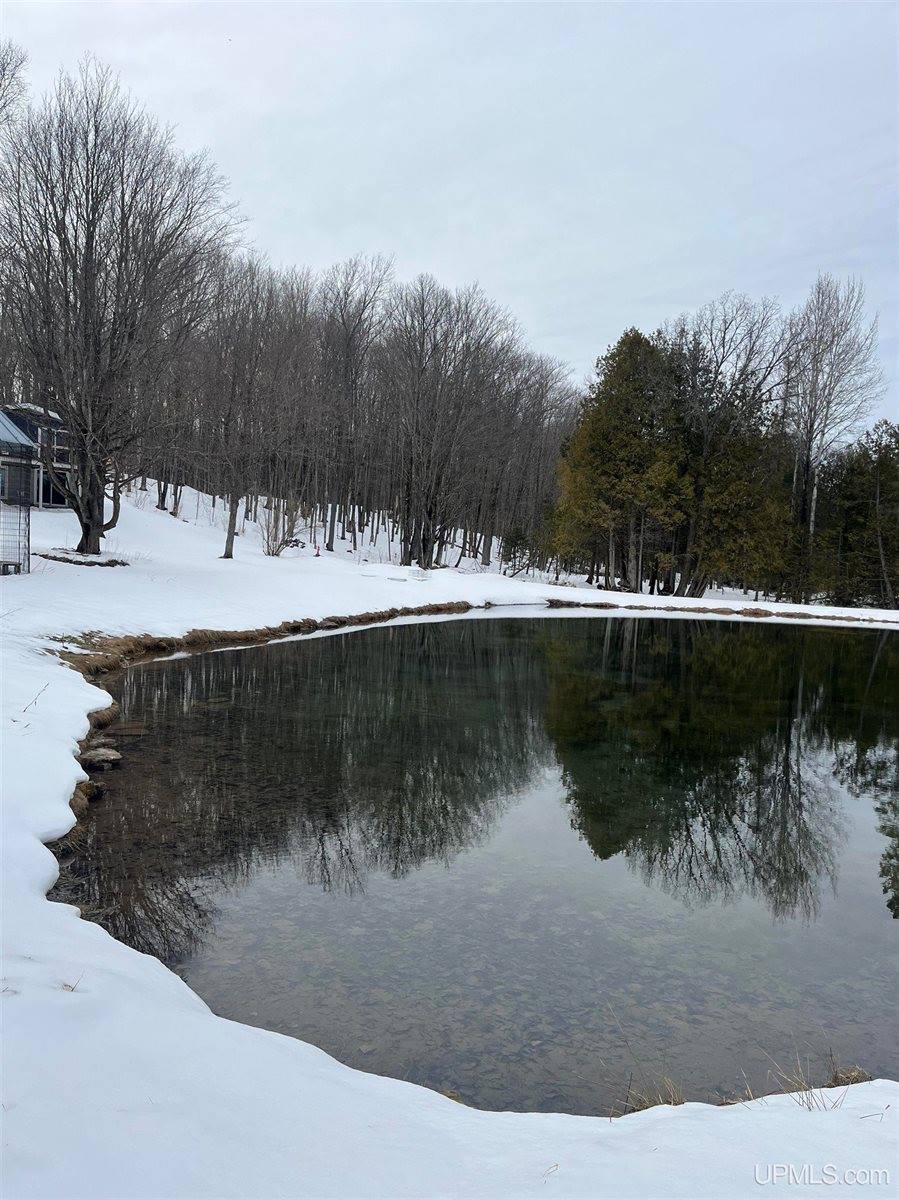 1904 E Kolpack Road, Skandia, MI 49855