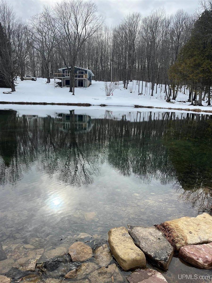 1904 E Kolpack Road, Skandia, MI 49855