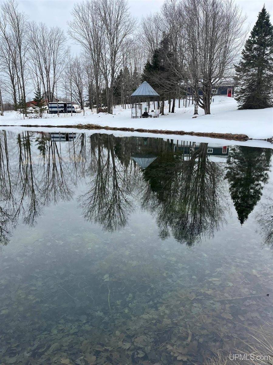 1904 E Kolpack Road, Skandia, MI 49855
