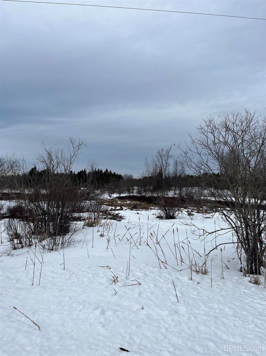 1904 E Kolpack Road, Skandia, MI 49855