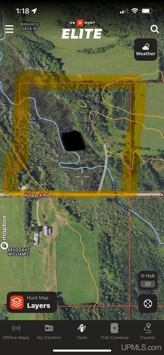 1904 E Kolpack Road, Skandia, MI 49855