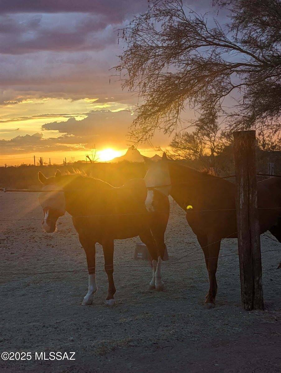 34801 South Longhorn Trail, Marana, AZ 85658