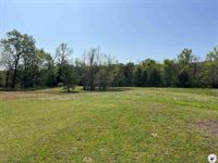 2367 Hwy 32 W, Foreman, AR 71836
