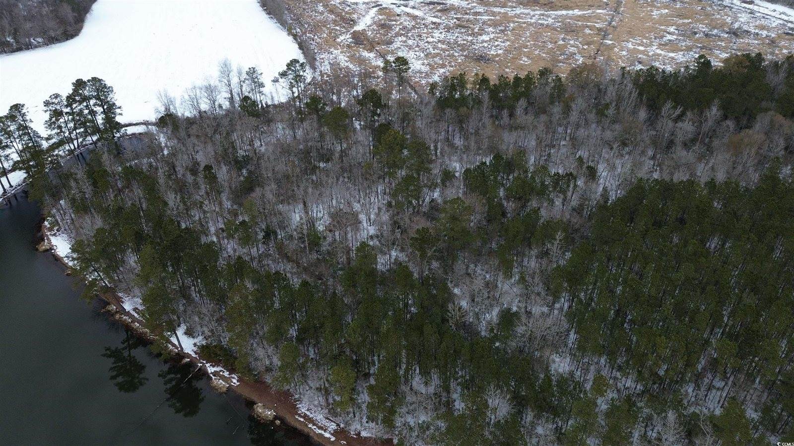 TBD Green Sea Rd., Green Sea, SC 29545