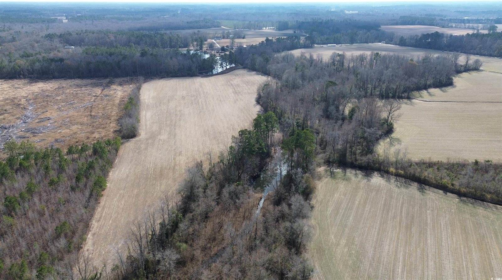 TBD Green Sea Rd., Green Sea, SC 29545