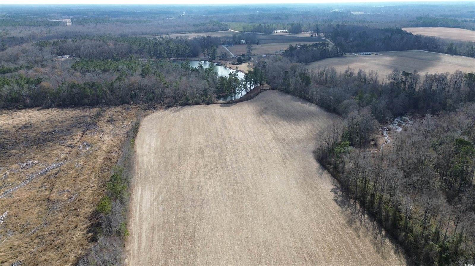 TBD Green Sea Rd., Green Sea, SC 29545