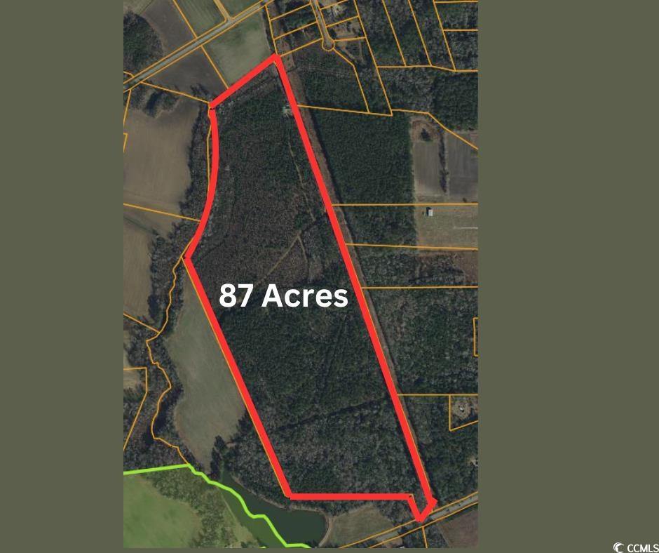 TBD Green Sea Rd., Green Sea, SC 29545