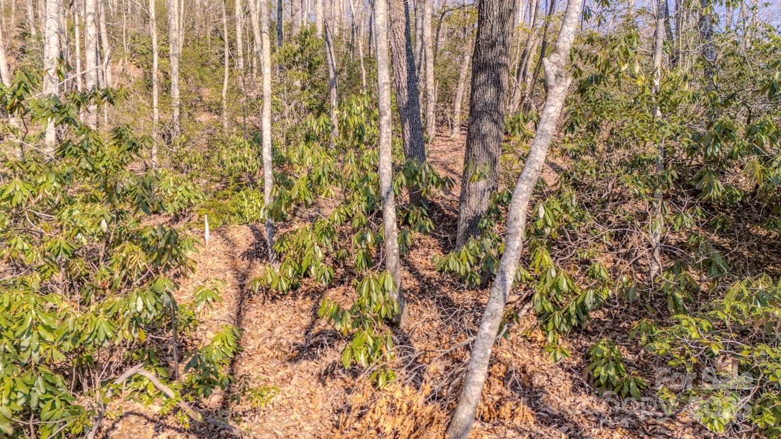 99999 Upper Peace Drive, Candler, NC 28715