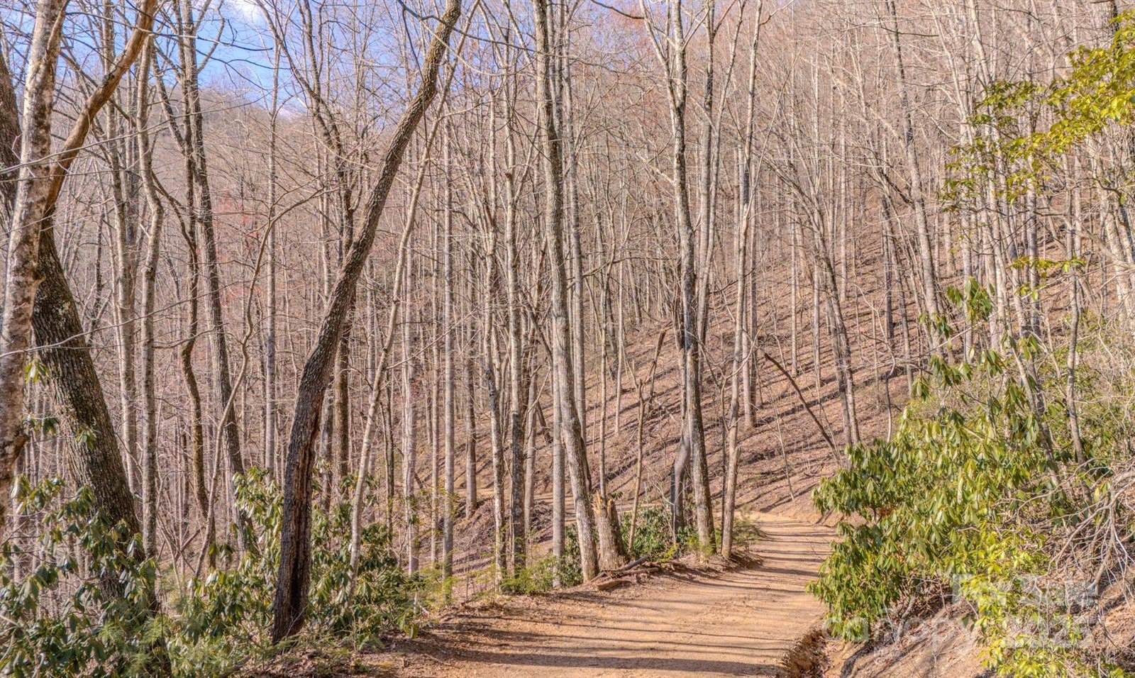 99999 Upper Peace Drive, Candler, NC 28715