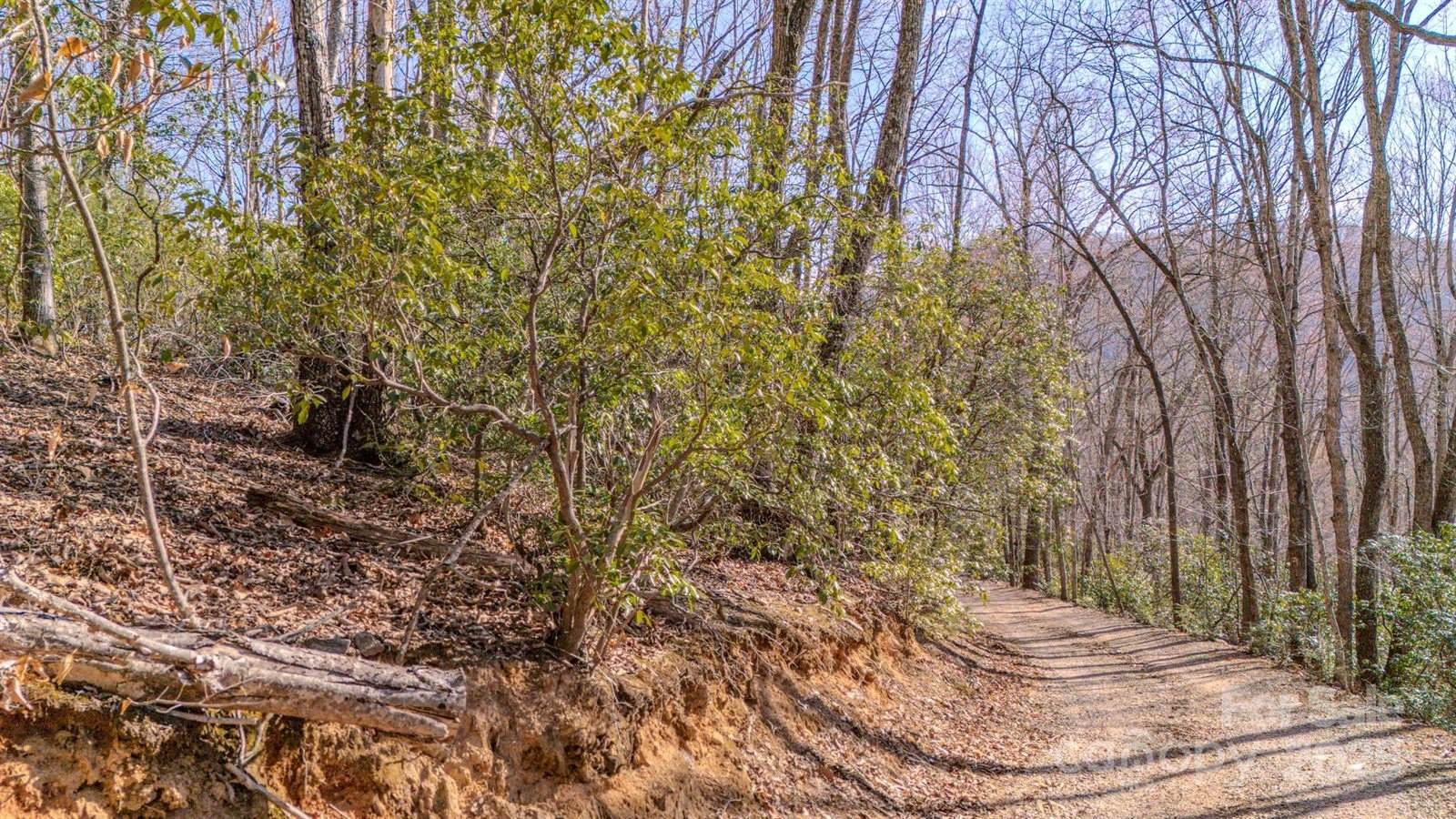 99999 Upper Peace Drive, Candler, NC 28715