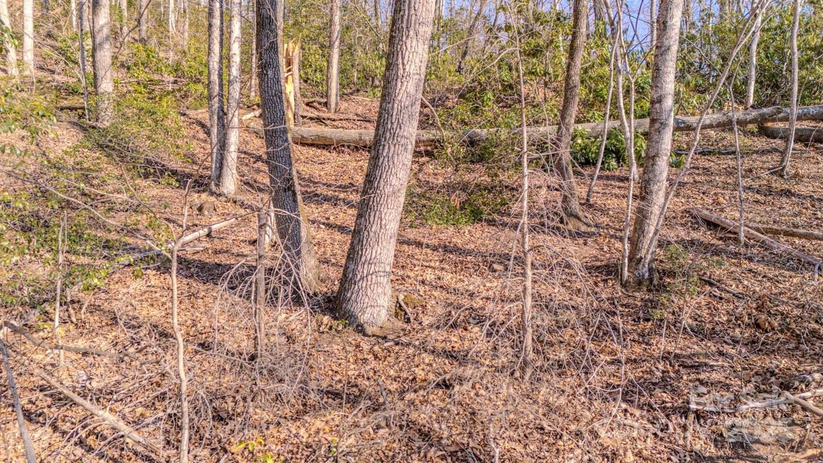 99999 Upper Peace Drive, Candler, NC 28715