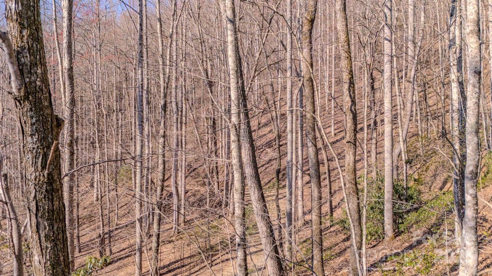 99999 Upper Peace Drive, Candler, NC 28715