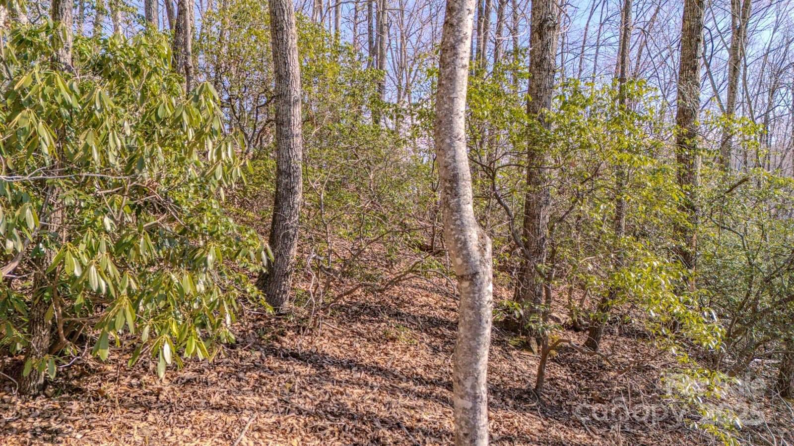 99999 Upper Peace Drive, Candler, NC 28715