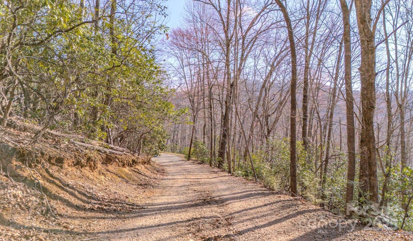 99999 Upper Peace Drive, Candler, NC 28715