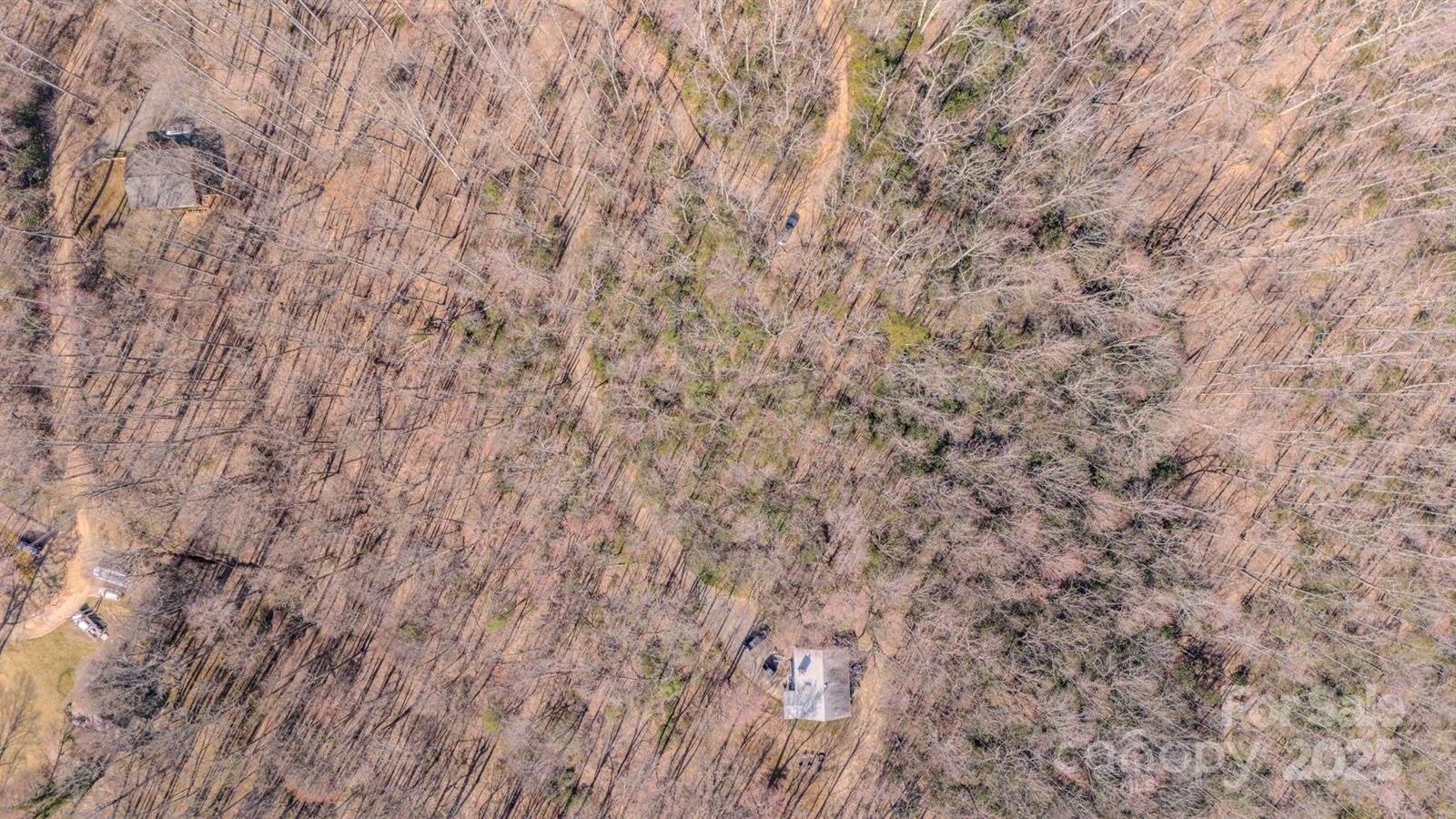 99999 Upper Peace Drive, Candler, NC 28715