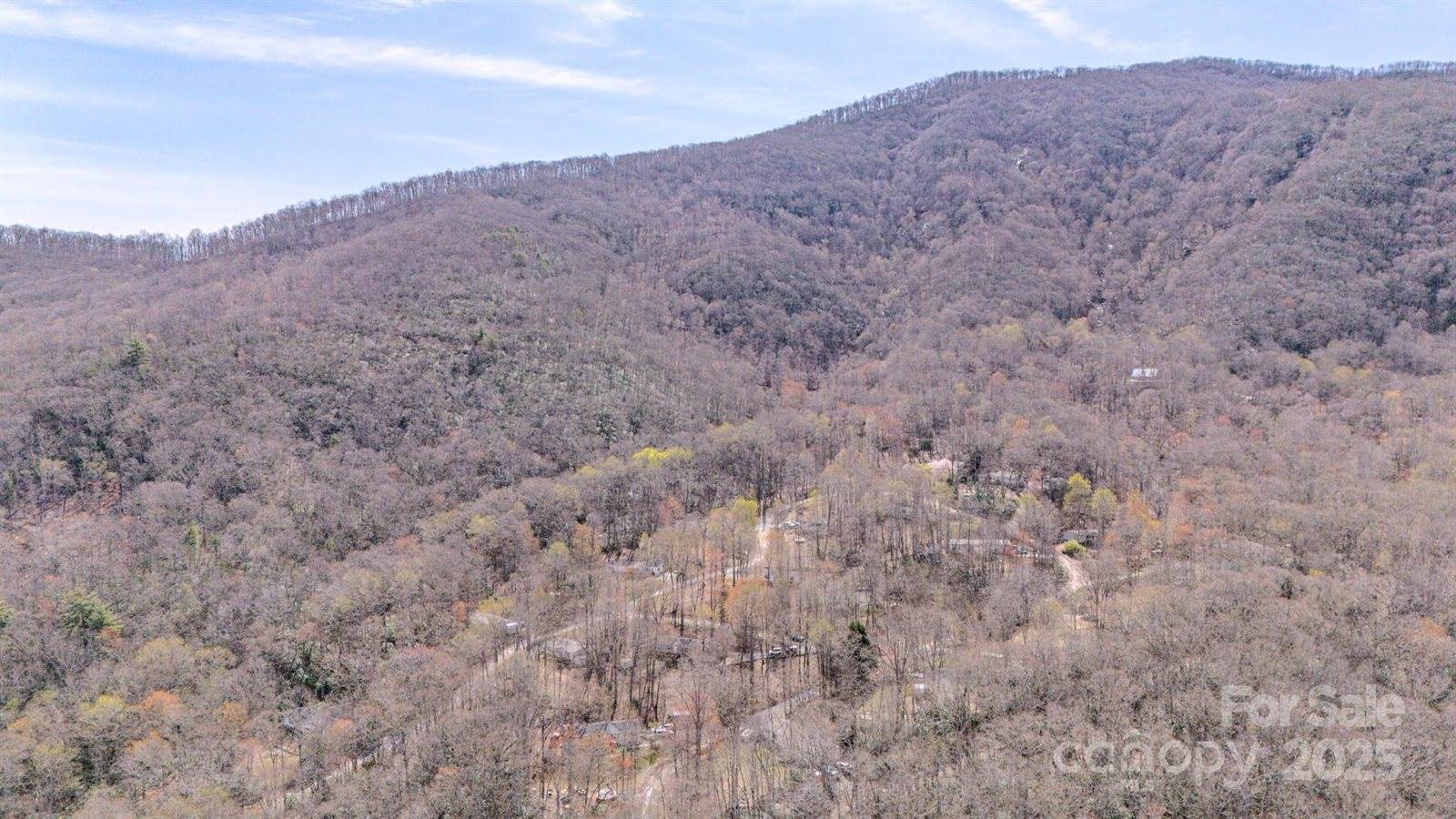 5 Anthony Court, Swannanoa, NC 28778
