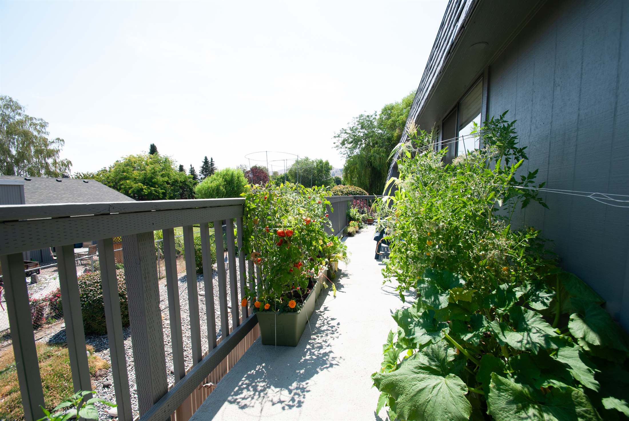 1535 Castlerock Avenue, #53, Wenatchee, WA 98801