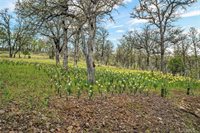 Listing Photo 64