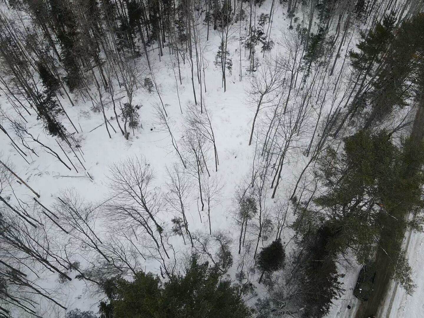 Lot 10 North Road, Medford, ME 04463