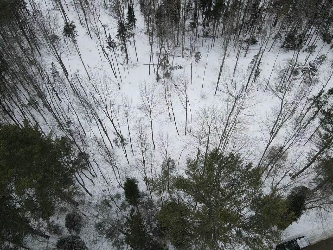 Lot 10 North Road, Medford, ME 04463