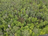 Lot 10 North Road, Medford, ME 04463