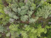 Lot 10 North Road, Medford, ME 04463