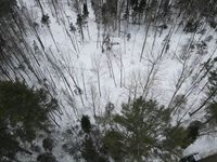 Lot 10 North Road, Medford, ME 04463