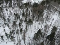 Lot 10 North Road, Medford, ME 04463