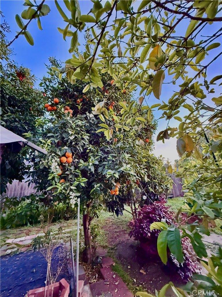 6703 Cedros Avenue, Van Nuys, CA 91405