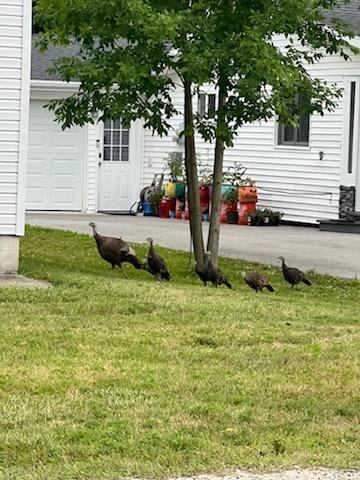 9440 East Houghton Lake Drive, Houghton Lake, MI 48629