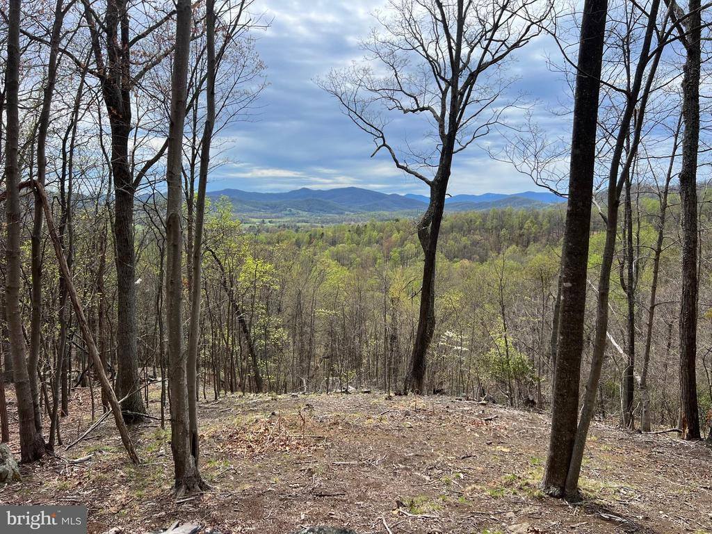 White Eagle, Lot 42, Charlottesville, VA 22903