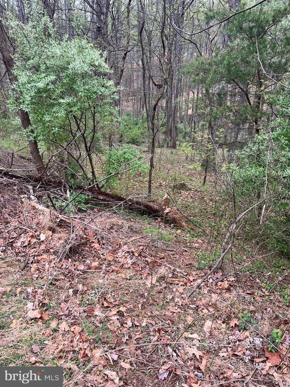 White Eagle, Lot 42, Charlottesville, VA 22903