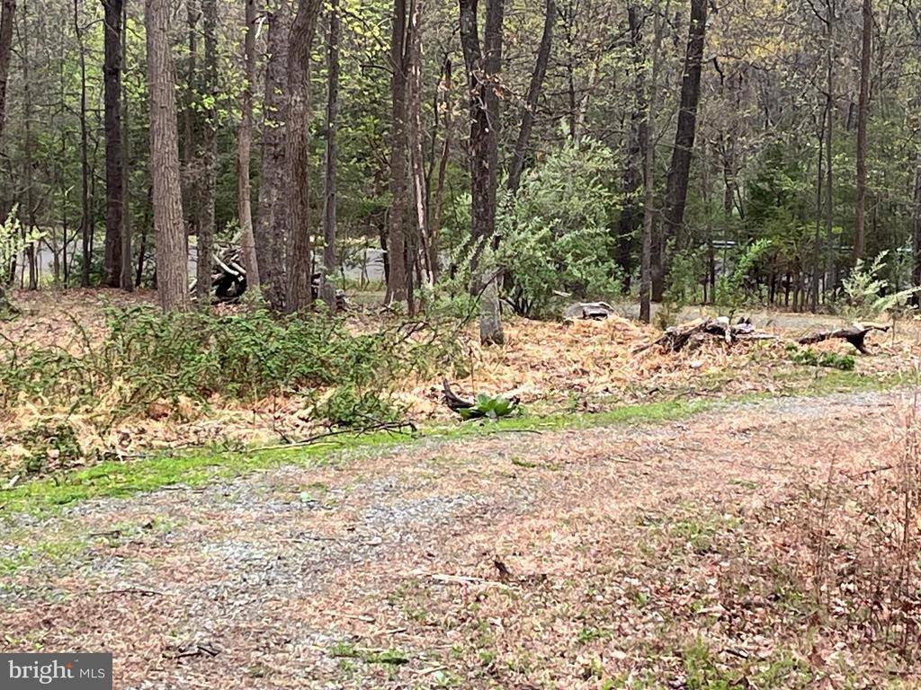 White Eagle, Lot 42, Charlottesville, VA 22903