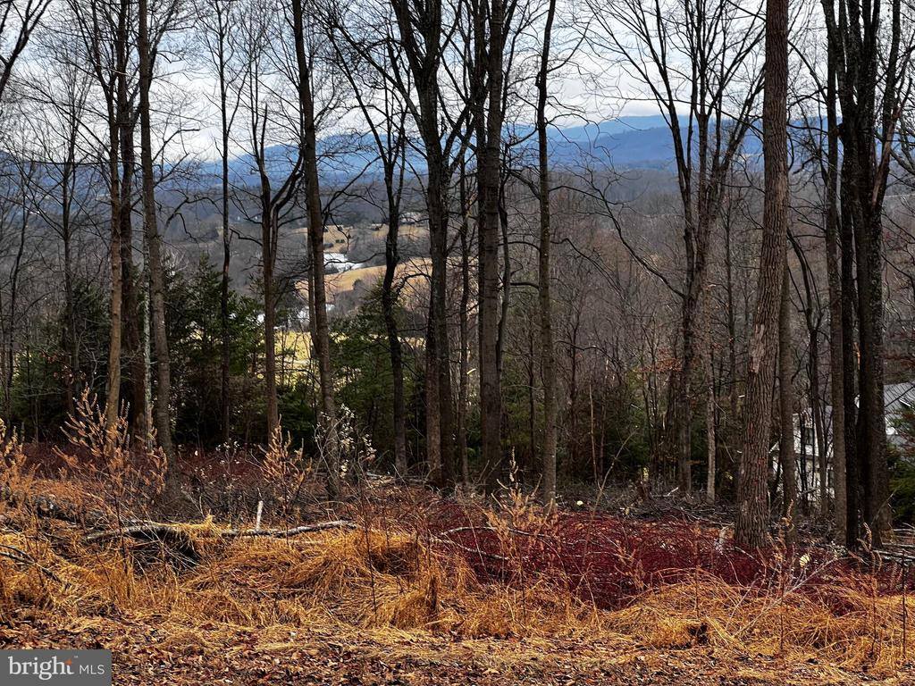 White Eagle, Lot 42, Charlottesville, VA 22903