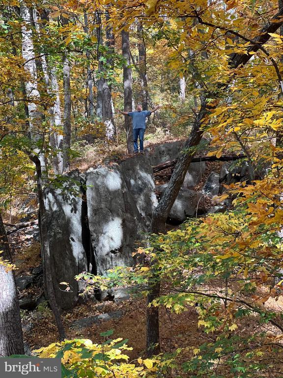 White Eagle, Lot 42, Charlottesville, VA 22903