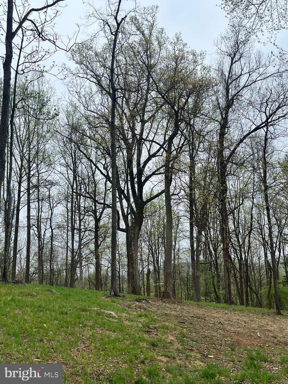 White Eagle, Lot 42, Charlottesville, VA 22903