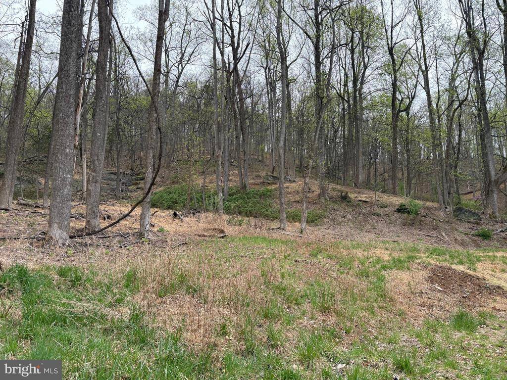 White Eagle, Lot 42, Charlottesville, VA 22903