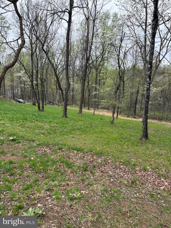 White Eagle, Lot 42, Charlottesville, VA 22903