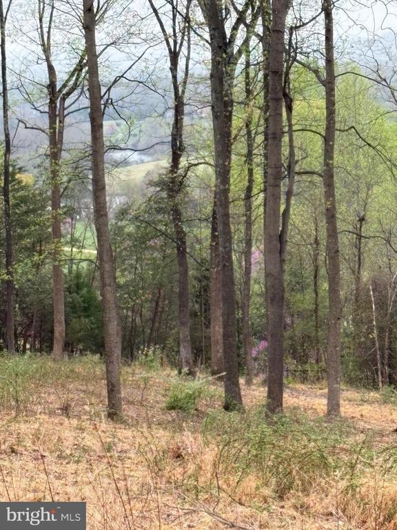 White Eagle, Lot 42, Charlottesville, VA 22903