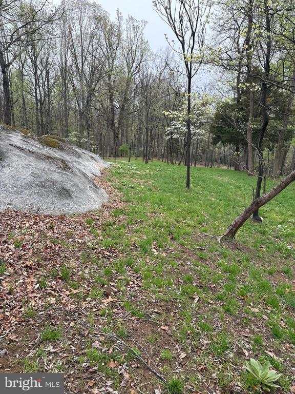 White Eagle, Lot 42, Charlottesville, VA 22903