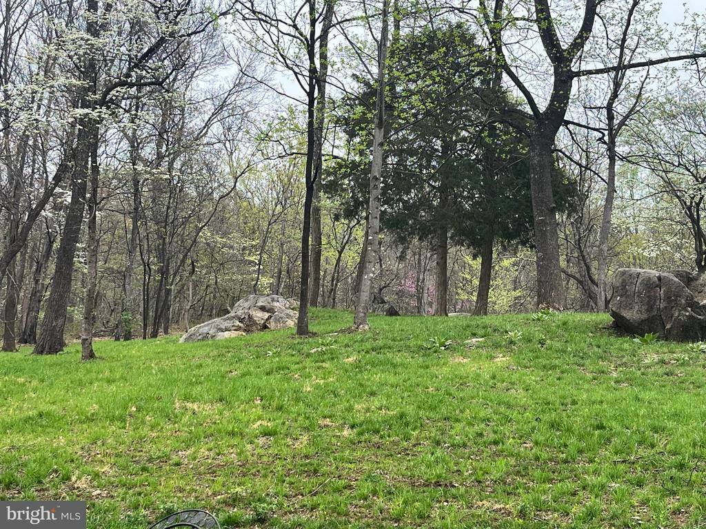 White Eagle, Lot 42, Charlottesville, VA 22903