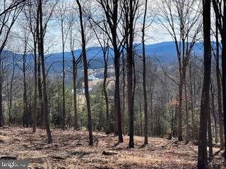 White Eagle, Lot 42, Charlottesville, VA 22903