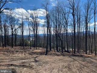 White Eagle, Lot 42, Charlottesville, VA 22903