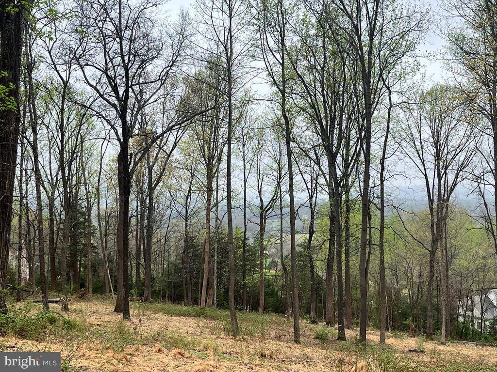 White Eagle, Lot 42, Charlottesville, VA 22903