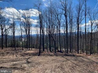 White Eagle, Lot 42, Charlottesville, VA 22903